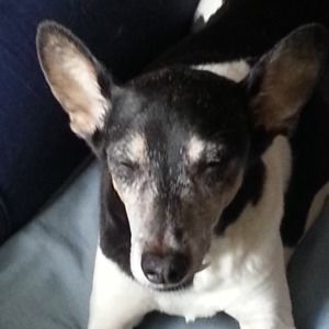 Meet your Posher, Sandra